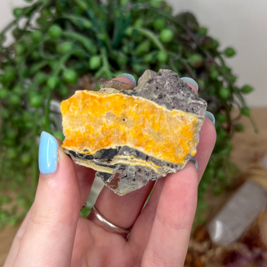 Bumble Bee Jasper Slab (Z7)