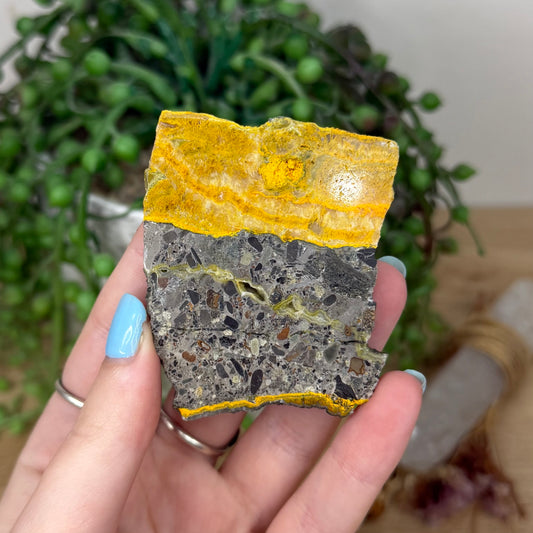 Bumble Bee Jasper Slab (Z8)