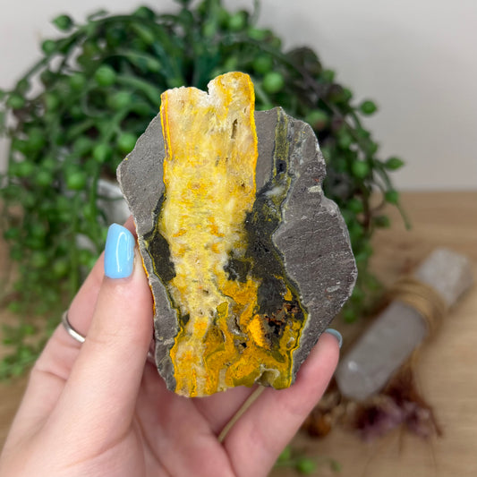 Bumble Bee Jasper Slab (Z12)
