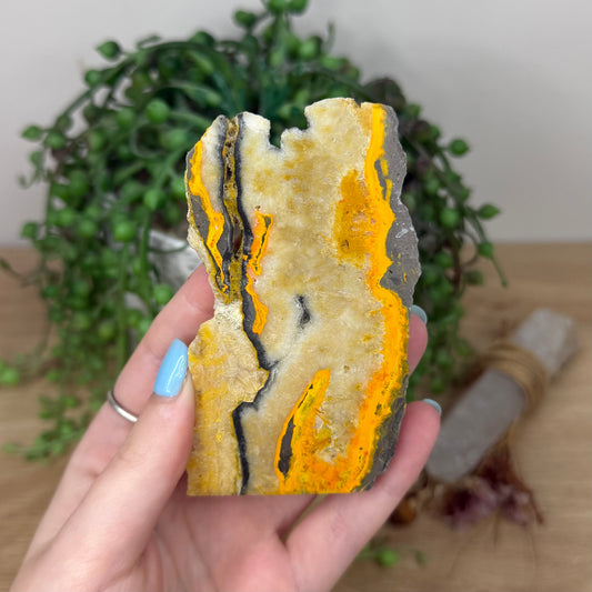 Bumble Bee Jasper Slab (Z14)