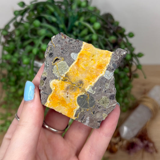 Bumble Bee Jasper Slab (Z9)