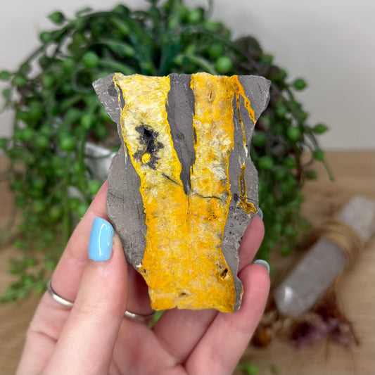 Bumble Bee Jasper Slab (Z10)