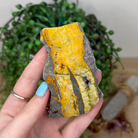 Bumble Bee Jasper Slab (Z11)