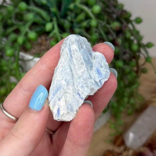 Blue Kyanite Cluster 1 (Y920)