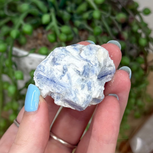 Blue Kyanite Cluster 2 (Y920)