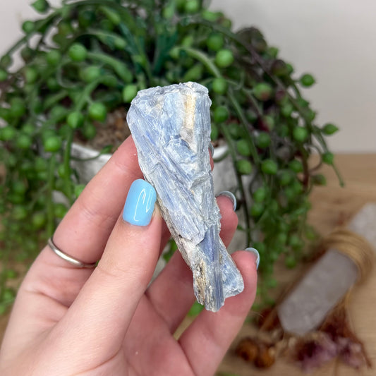 Blue Kyanite Cluster 3 (Y920)