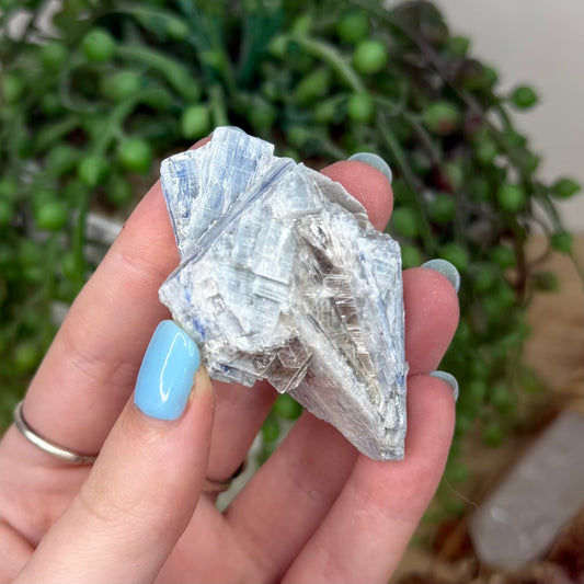 Blue Kyanite Cluster 1 (Y921)