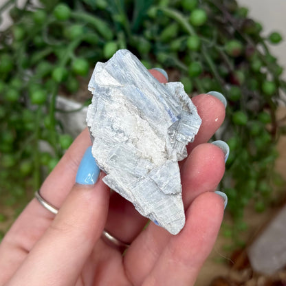 Blue Kyanite Cluster 1 (Y921)