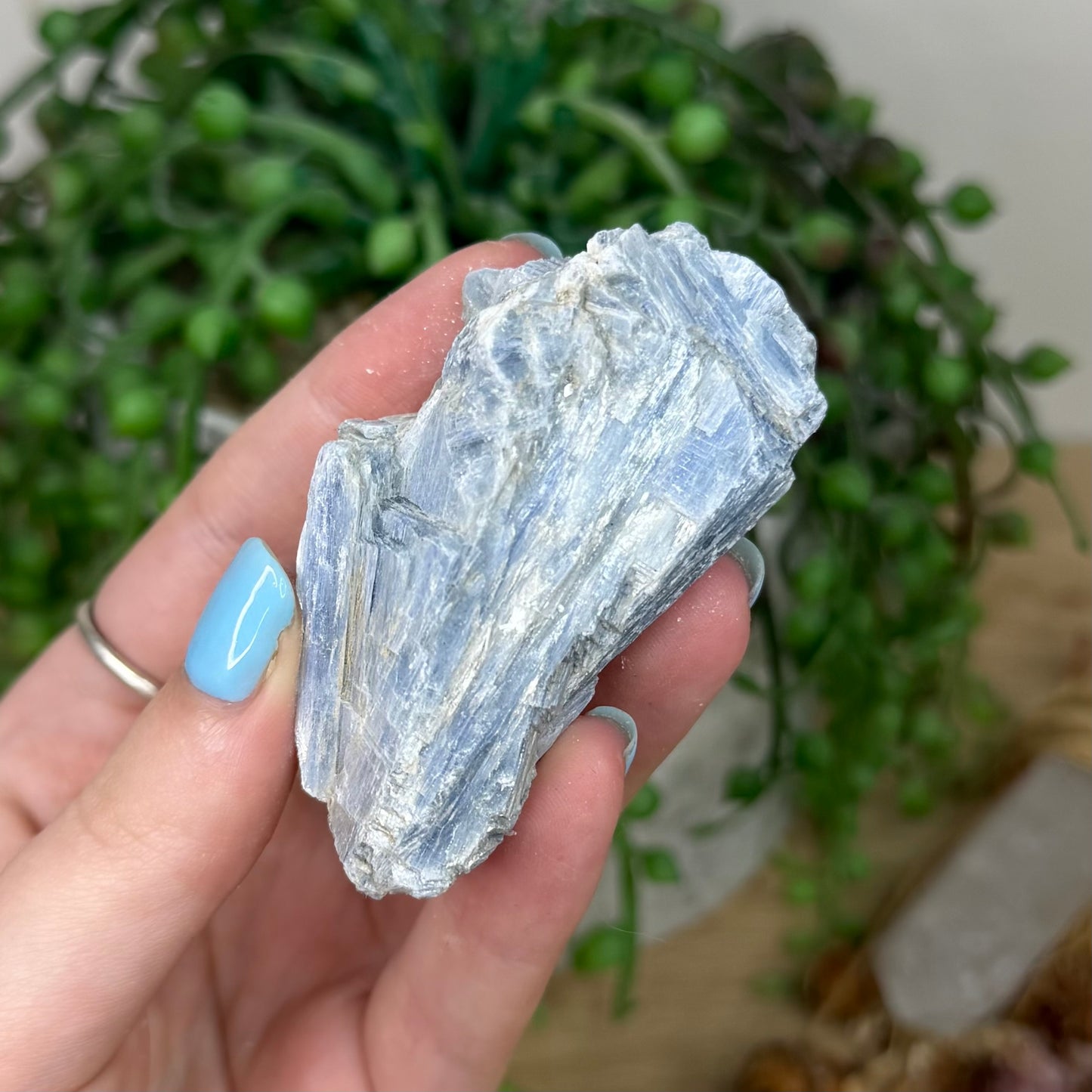 Blue Kyanite Cluster 2 (Y921)