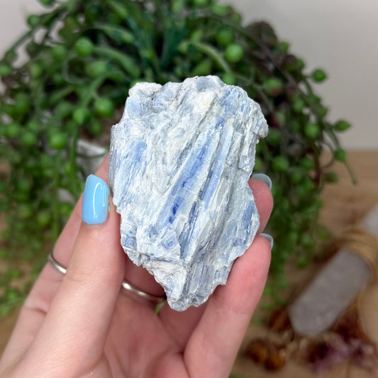 Blue Kyanite Cluster 1 (Y922)