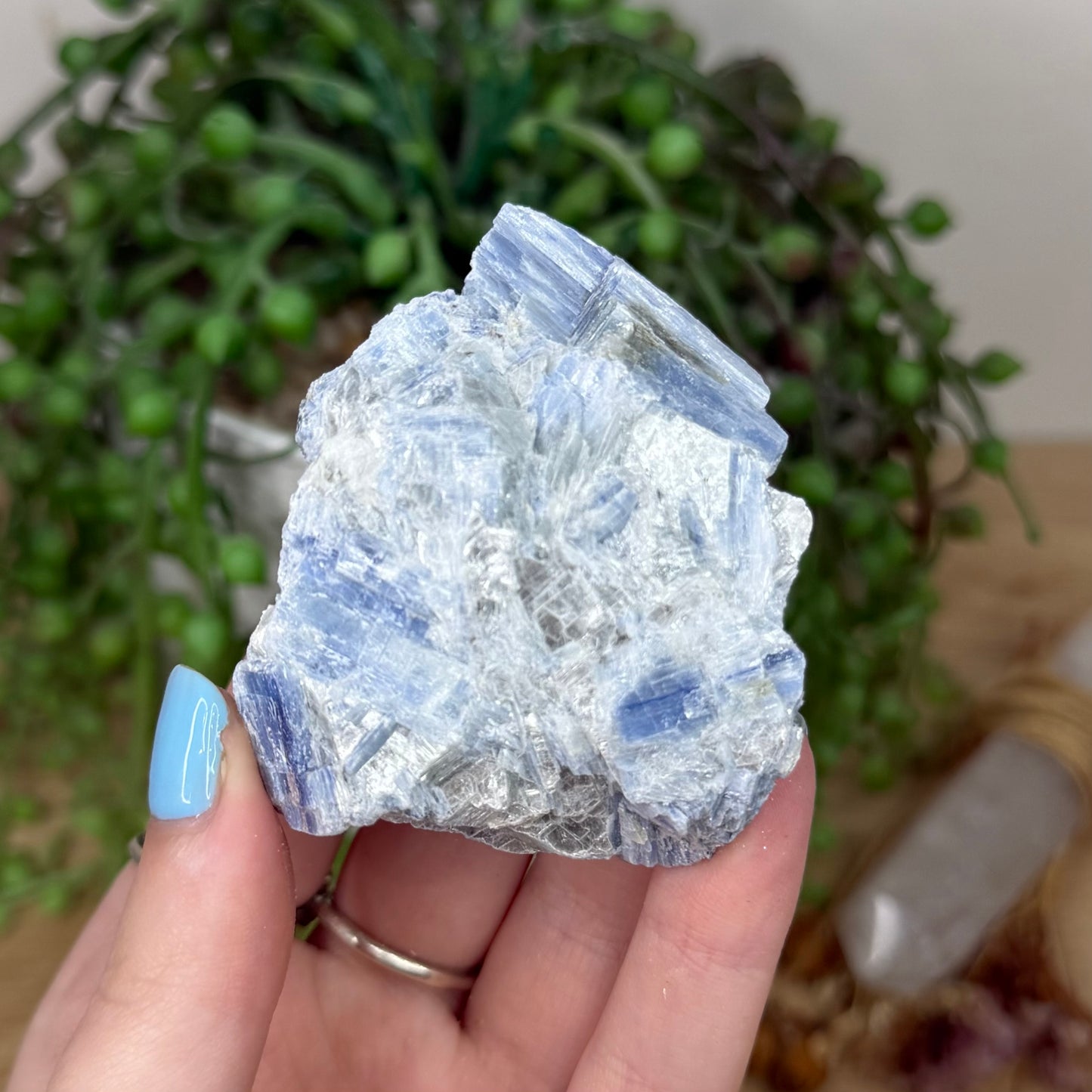 Blue Kyanite Cluster 3 (Y922)