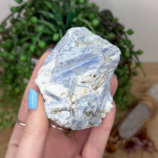 Blue Kyanite Cluster 1 (Y923)