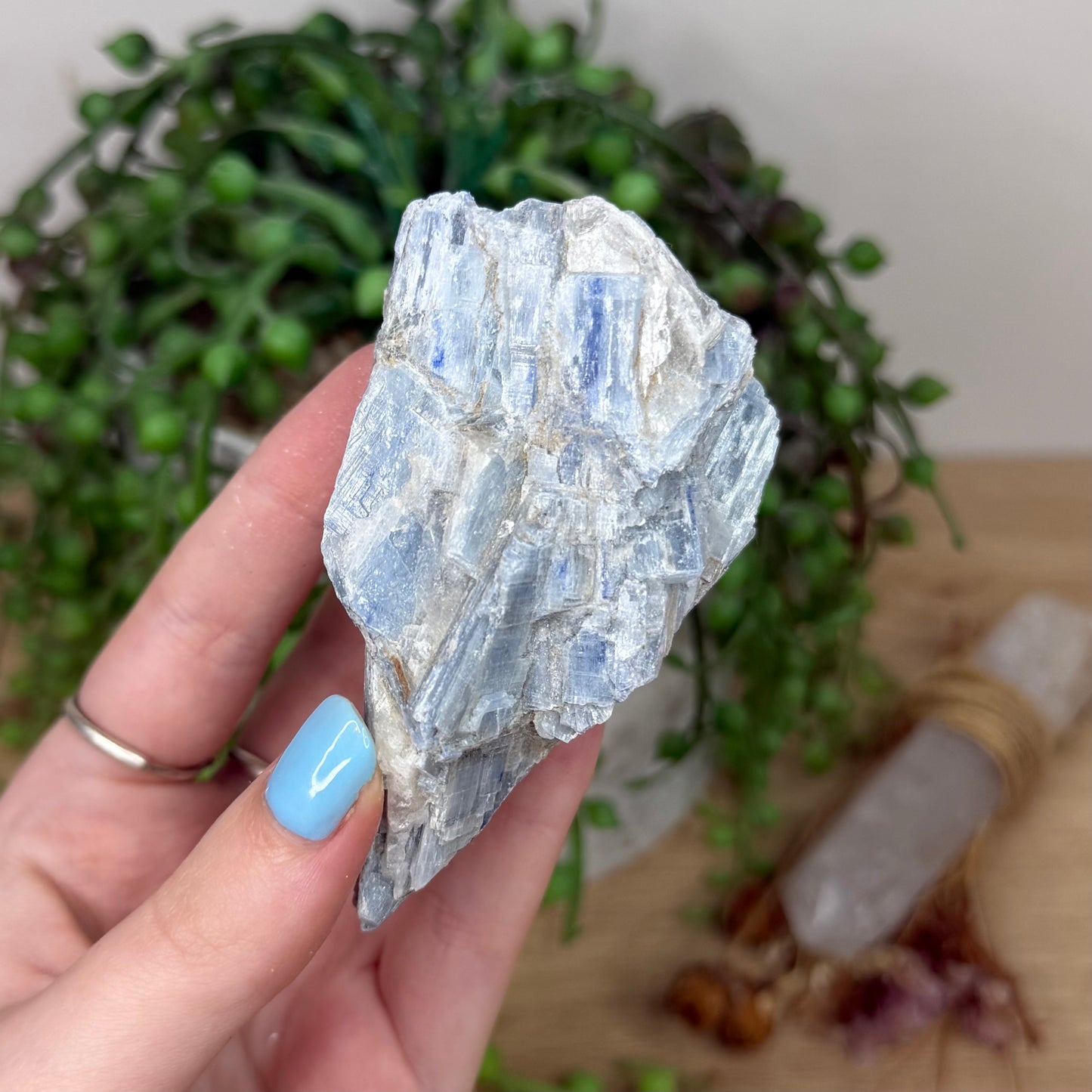 Blue Kyanite Cluster 2 (Y923)