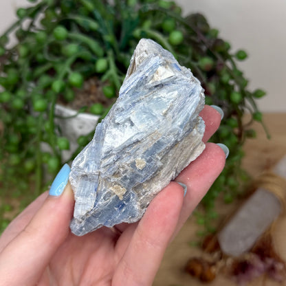 Blue Kyanite Cluster 2 (Y923)