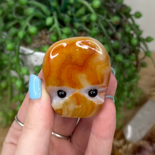 Sardonyx Pet Rock (Z18)