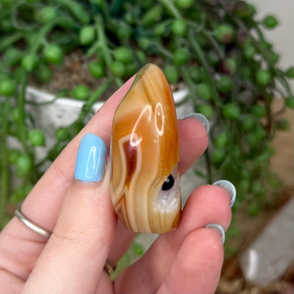 Sardonyx Pet Rock (Z18)