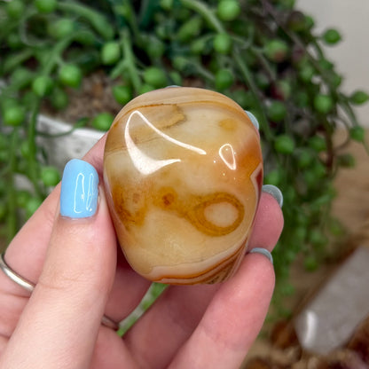 Sardonyx Pet Rock (Z18)