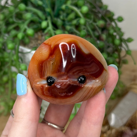 Sardonyx Pet Rock (Z20)
