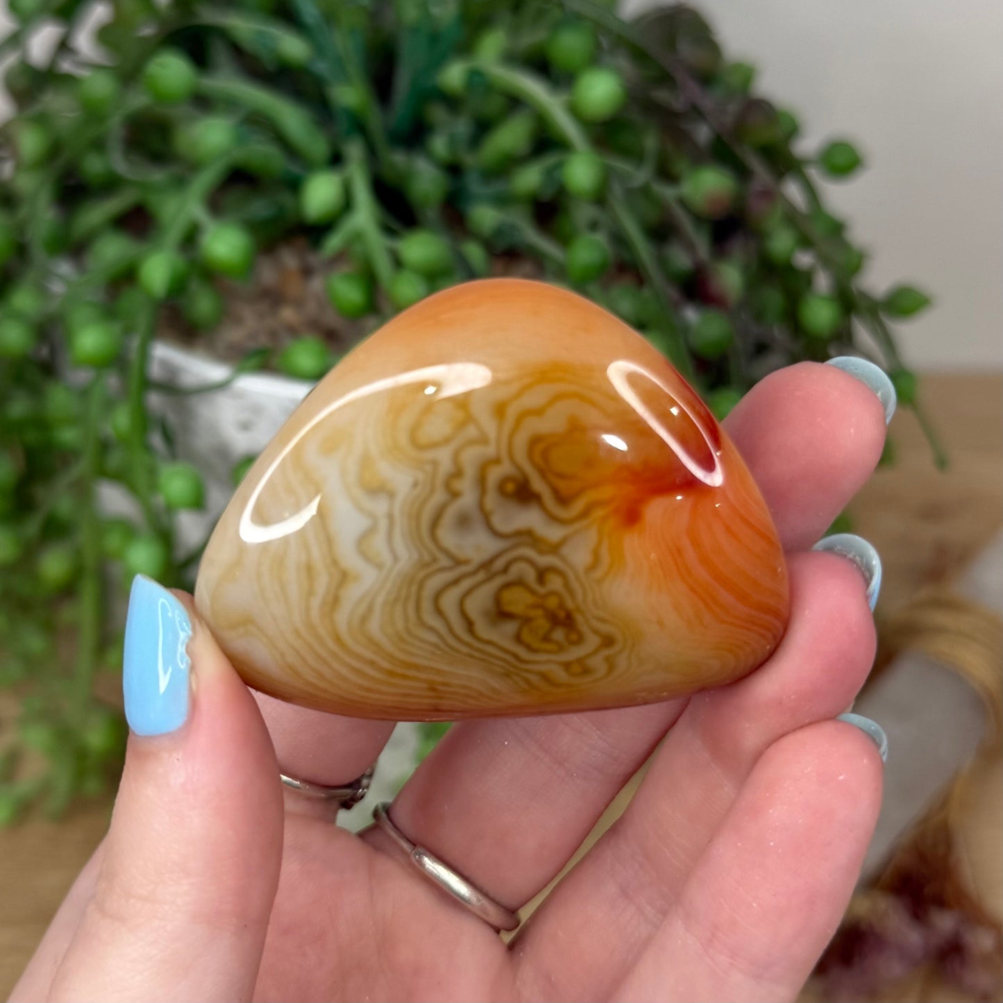 Sardonyx Pet Rock (Z20)