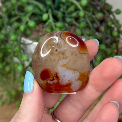 Sardonyx Pet Rock (Z16)