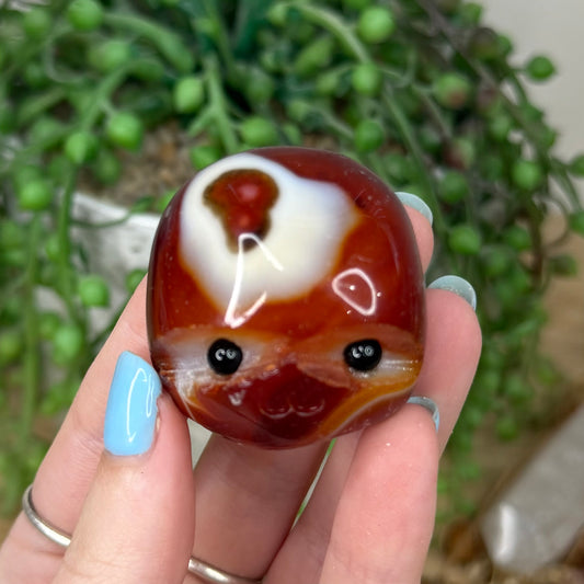 Sardonyx Pet Rock (Z17)