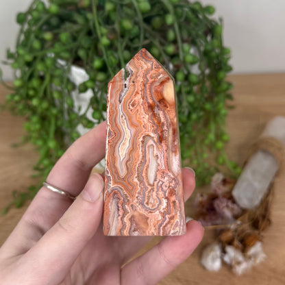 Pink Crazy Lace Agate Point (S865)