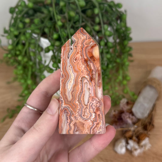 Pink Crazy Lace Agate Point (S865)