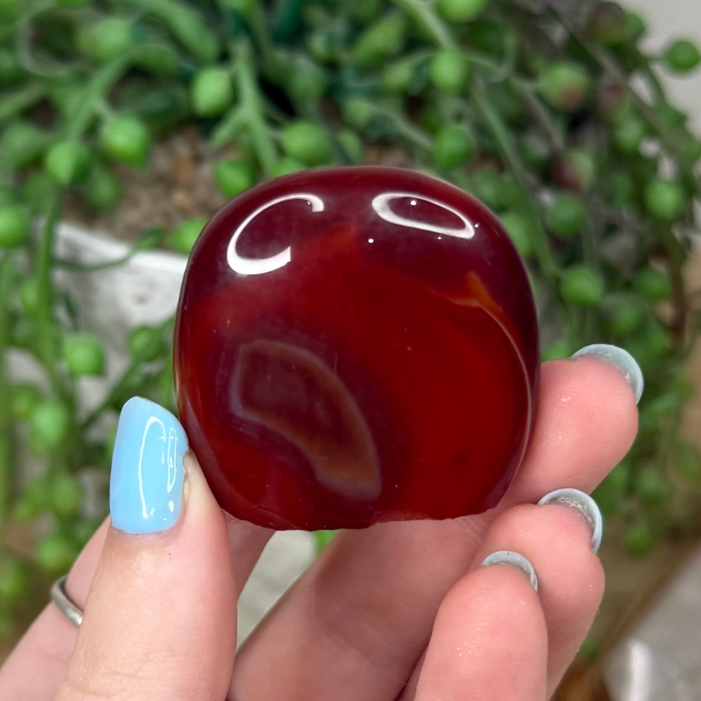 Sardonyx Pet Rock (Z17)