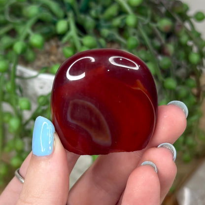 Sardonyx Pet Rock (Z17)