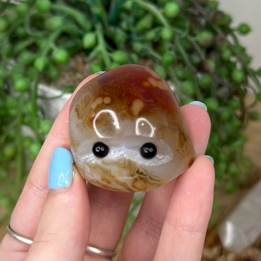 Sardonyx Pet Rock (Z19)