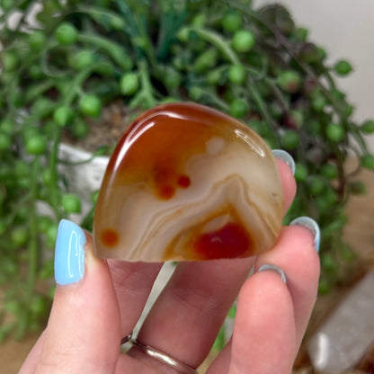 Sardonyx Pet Rock (Z19)