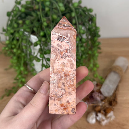 Pink Crazy Lace Agate Point (S867)
