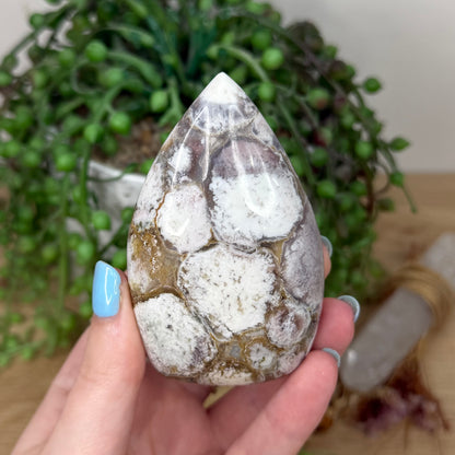 King Cobra Jasper Arch Free Form (Z24)
