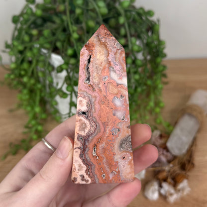Pink Crazy Lace Agate Point (S867)