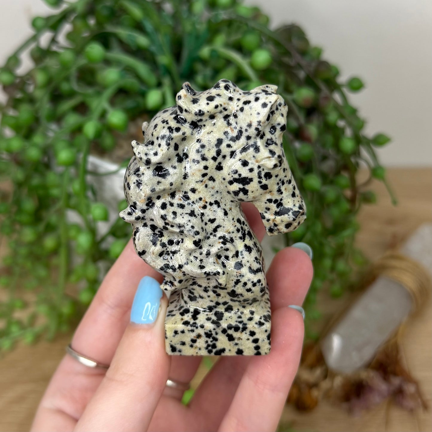 Dalmatian Jasper Horse Head (Y993)