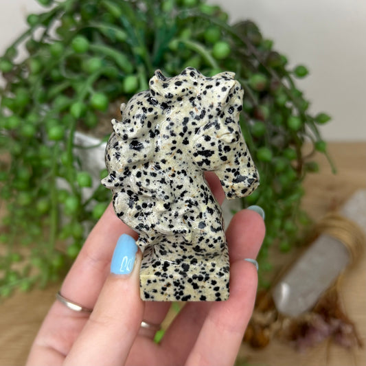 Dalmatian Jasper Horse Head (Y993)