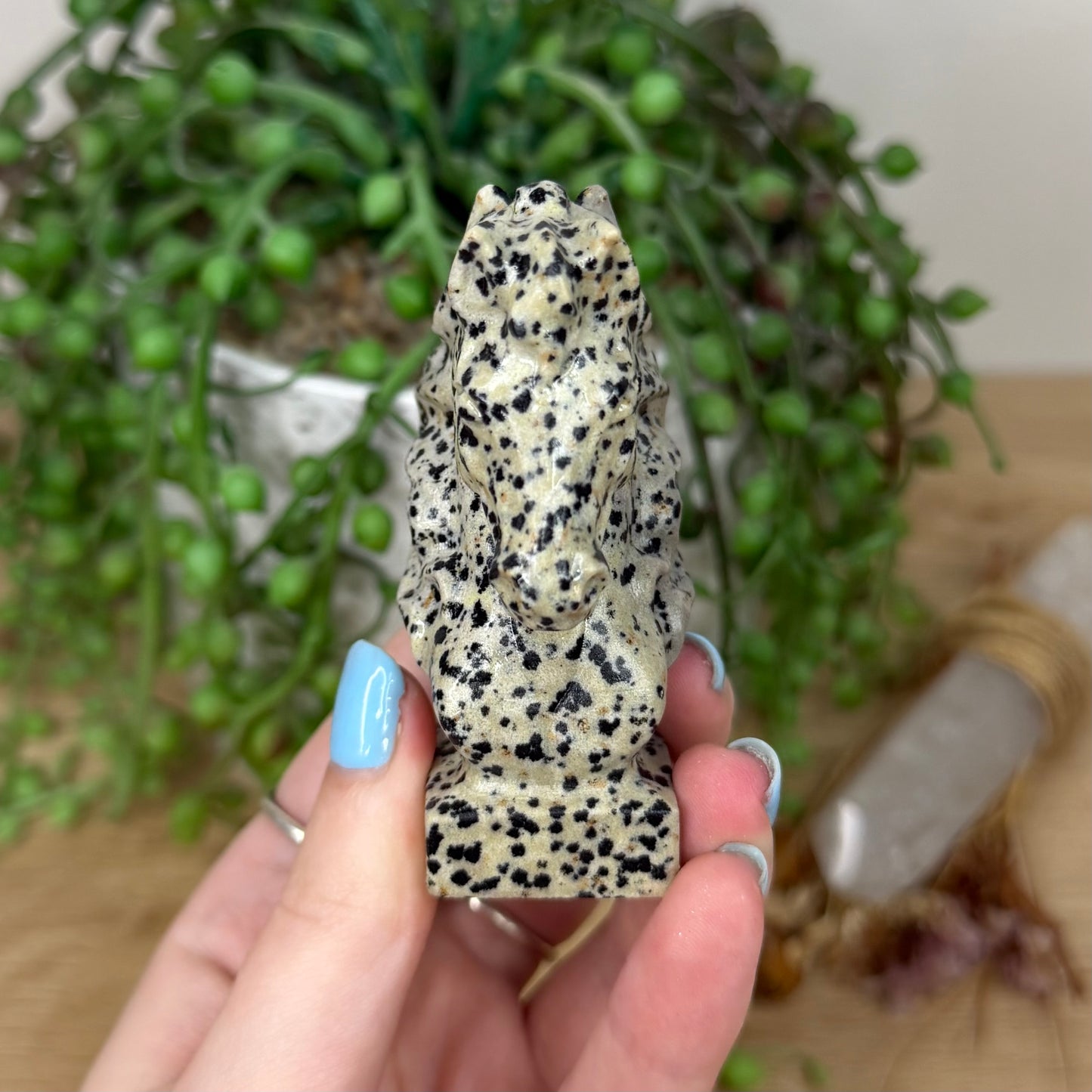 Dalmatian Jasper Horse Head (Y993)