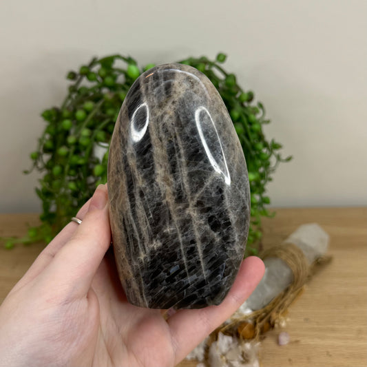 Black Moonstone Arch Free Form (O487)