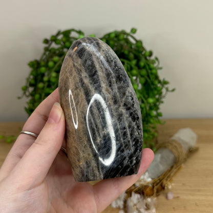 Black Moonstone Arch Free Form (O487)