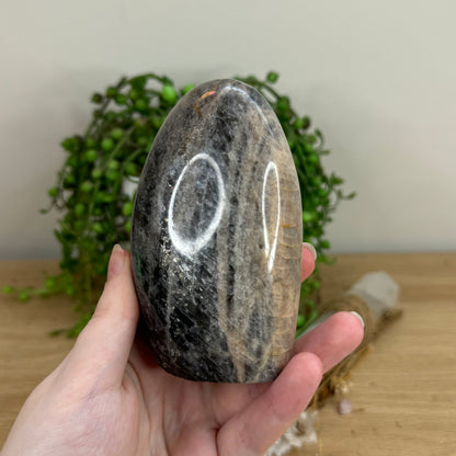 Black Moonstone Arch Free Form (O487)