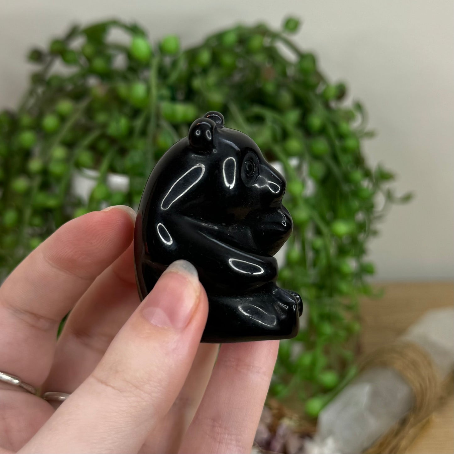 Black Obsidian Panda (O496)