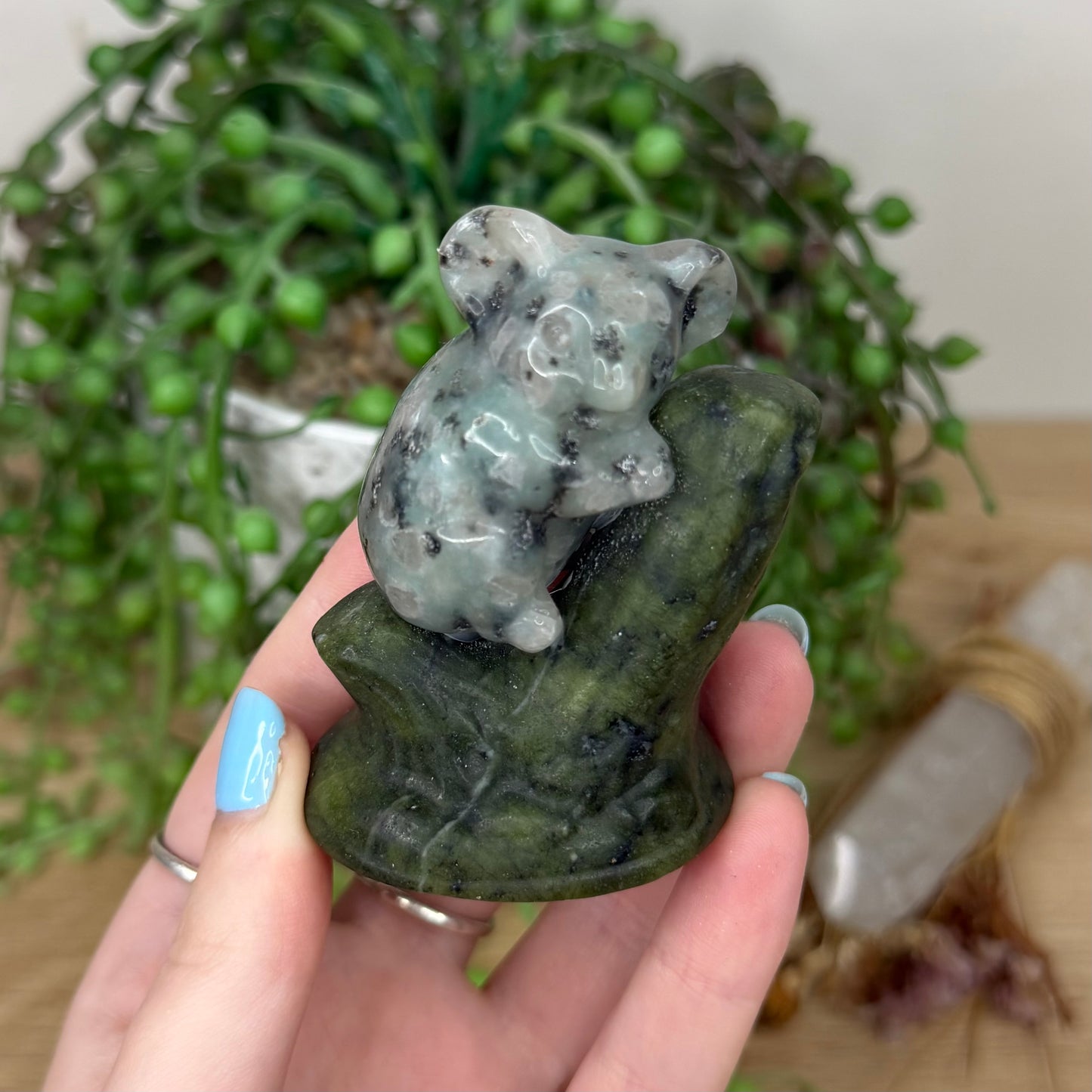 Kiwi Jasper / Green Jade Koala In Tree (Y972)
