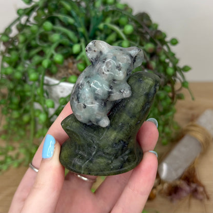 Kiwi Jasper / Green Jade Koala In Tree (Y972)