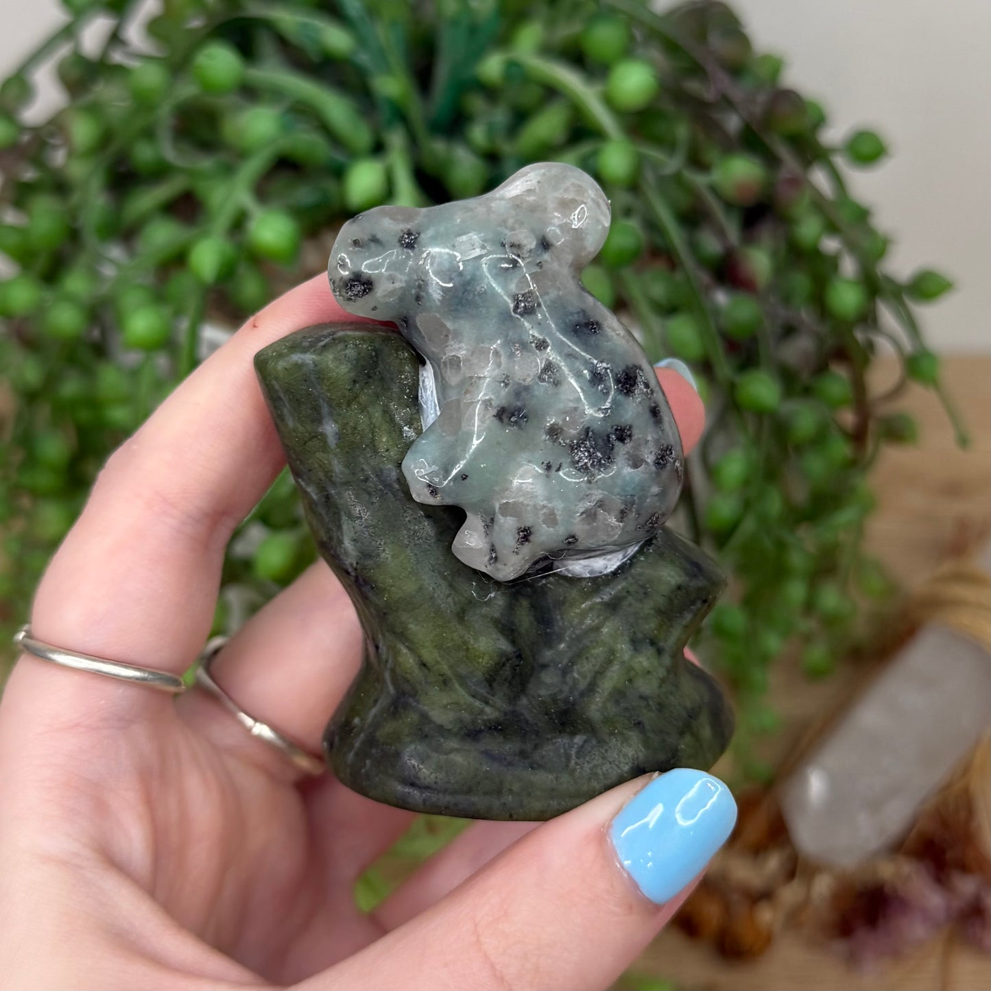 Kiwi Jasper / Green Jade Koala In Tree (Y972)