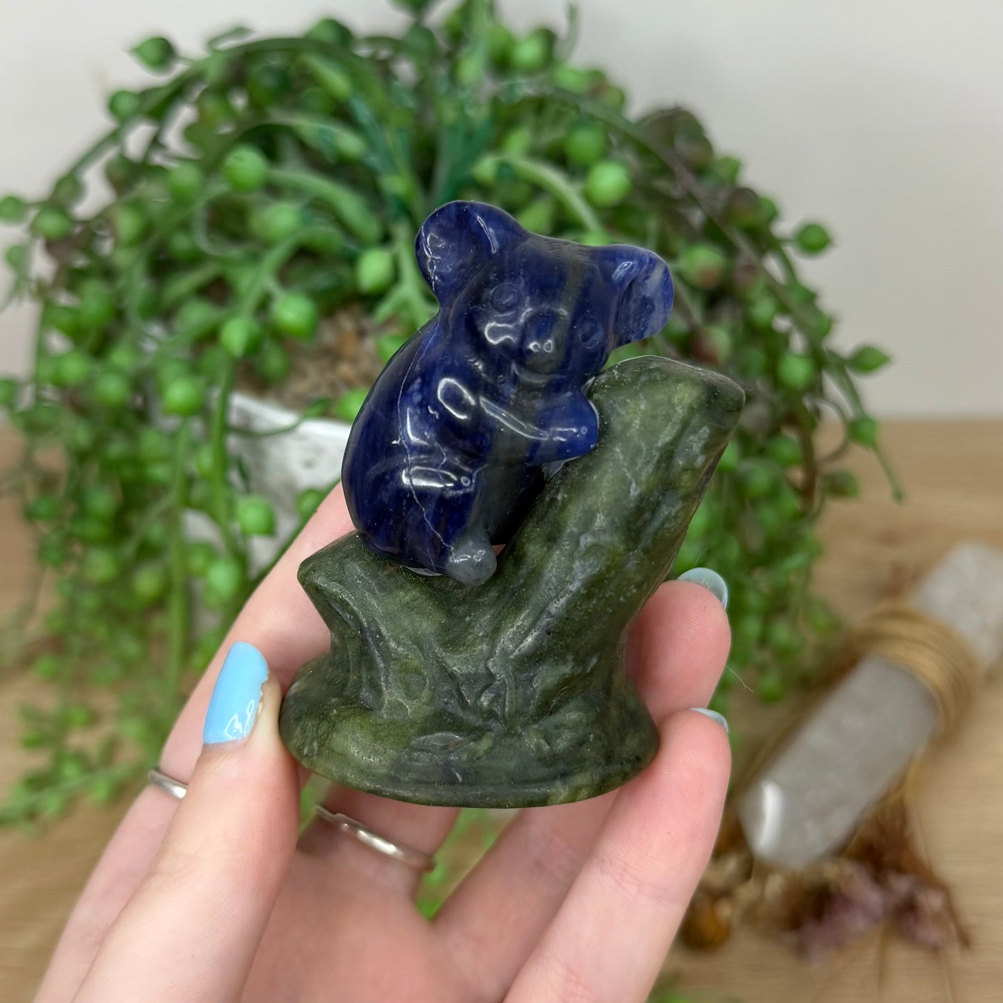 Sodalite / Green Jade Koala In Tree (Y975)