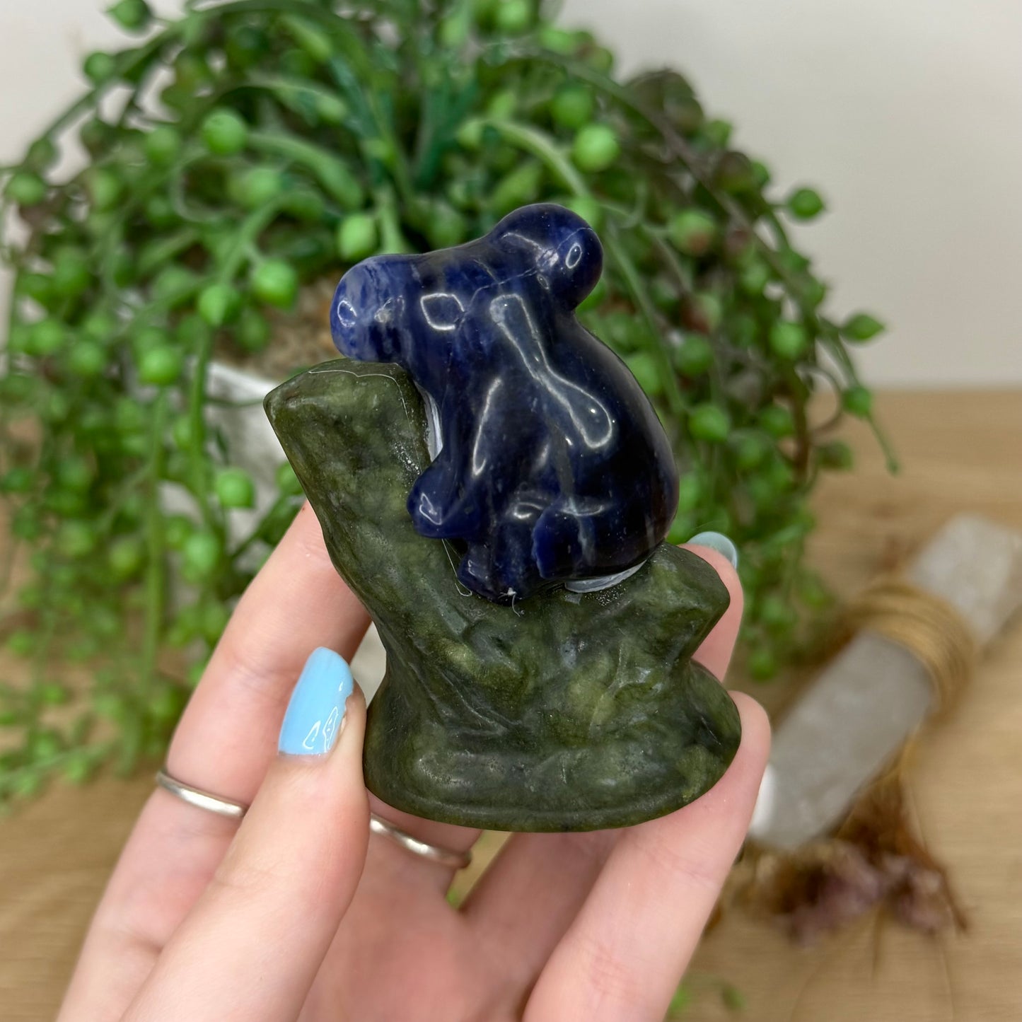 Sodalite / Green Jade Koala In Tree (Y975)