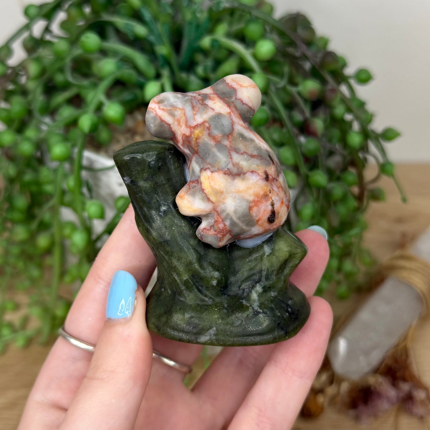 Red Vein Jasper / Green Jade Koala In Tree (Y969)