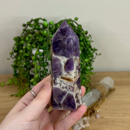 Dream Amethyst Point (O506)