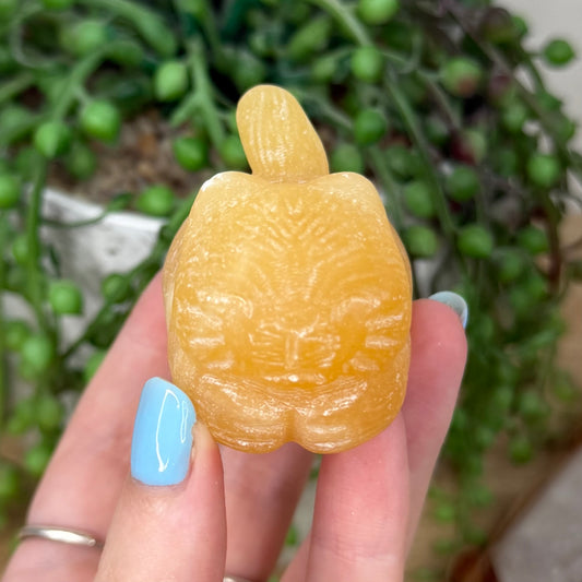 Yellow Calcite Cat (Y959)