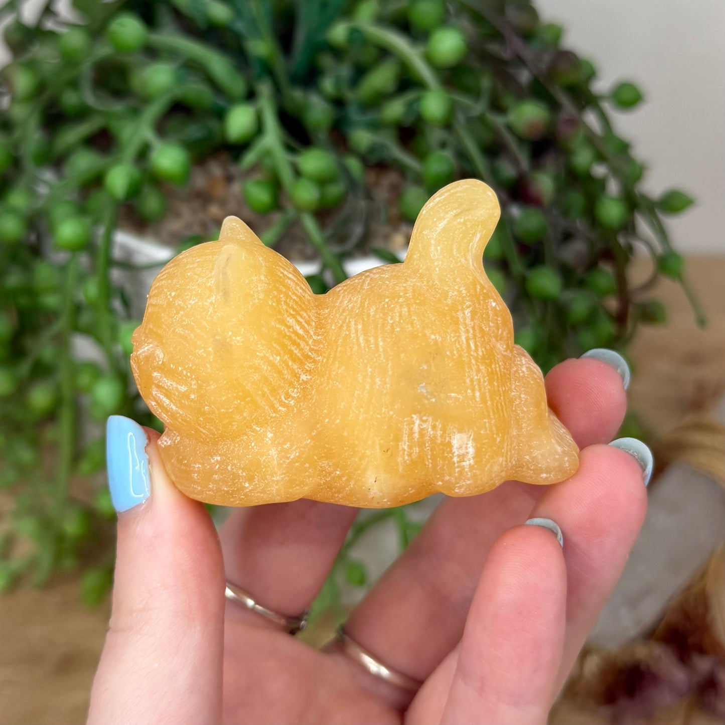 Yellow Calcite Cat (Y959)